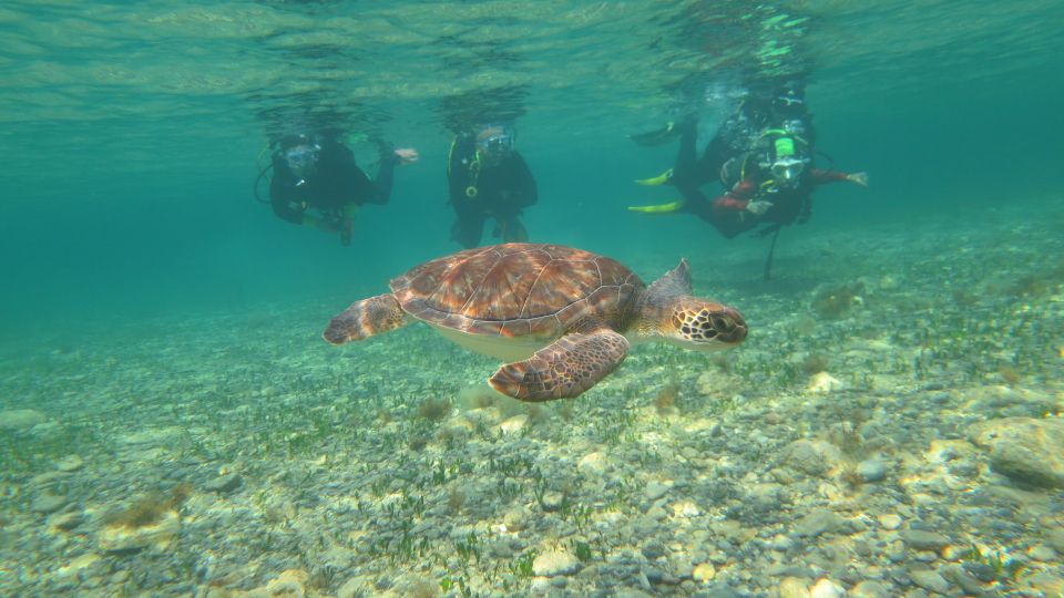 Paphos Scuba Diving Tour